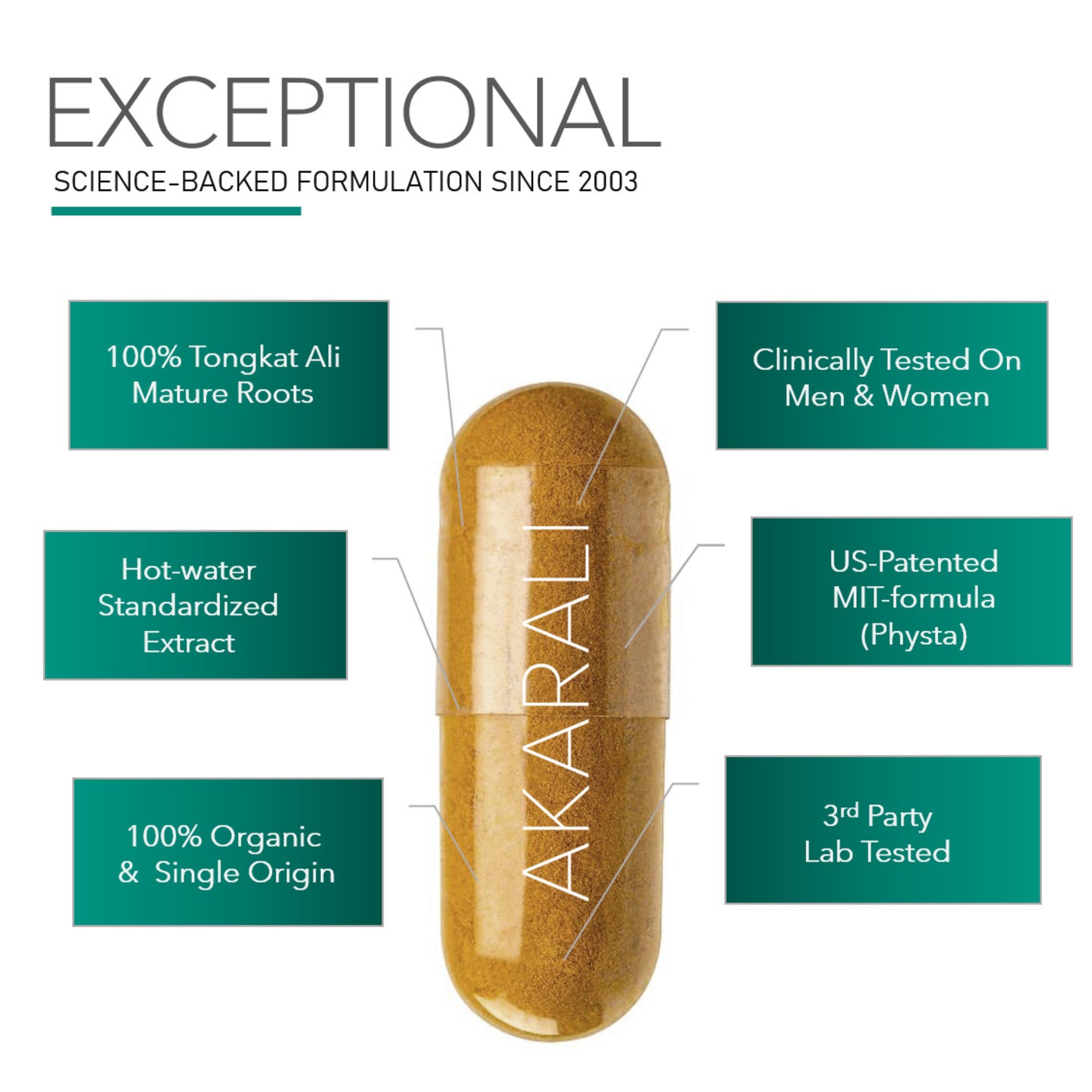 Tongkat Ali Standardized Hot Water Root Extract | 60 capsules